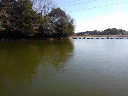 大安トラウトレイク 釣果